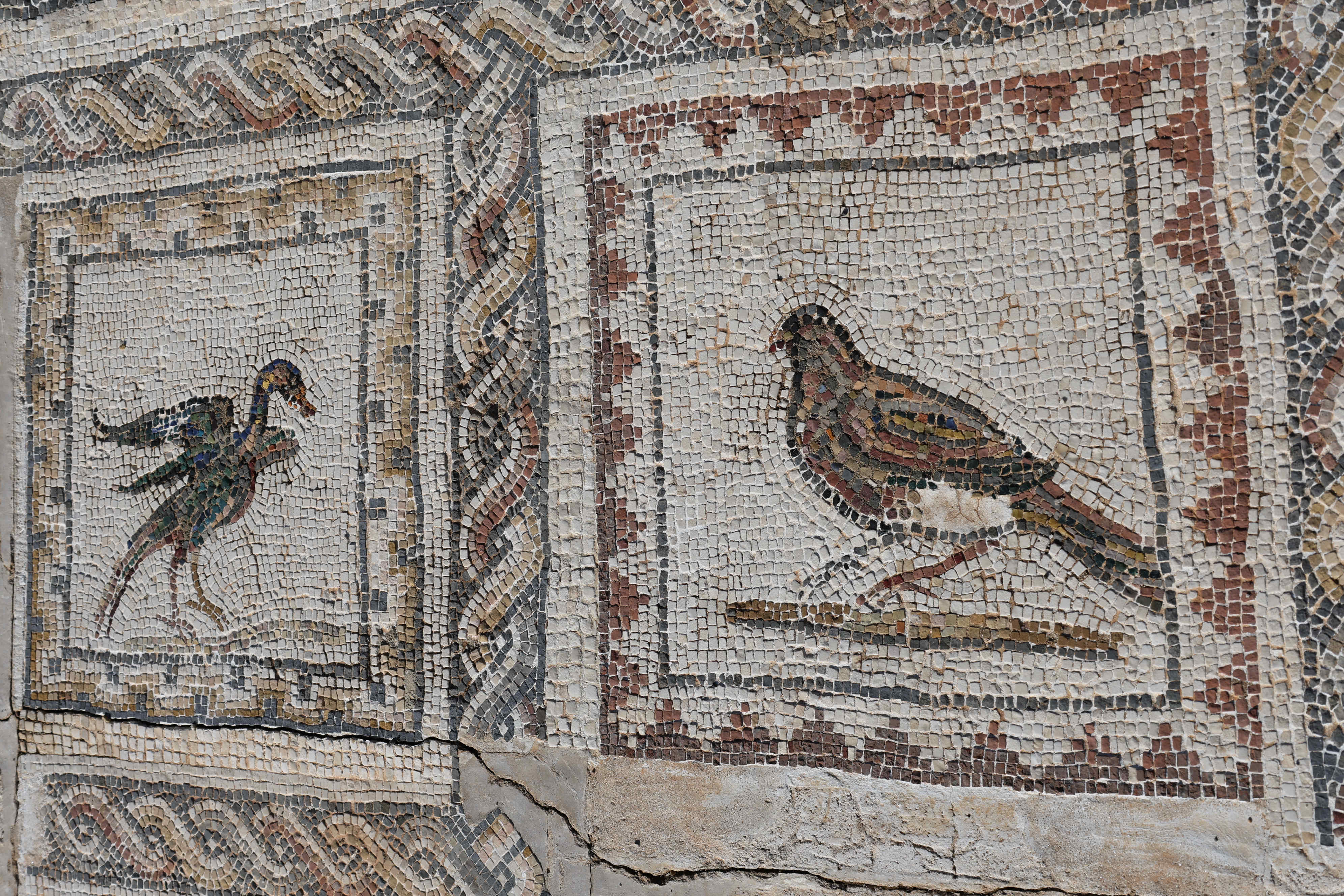 Italica